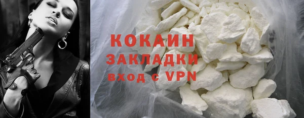 бошки Горняк