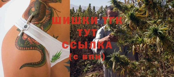не бодяженный Горнозаводск