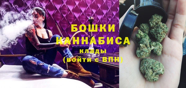 бошки Горняк