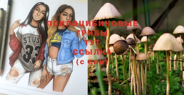 не бодяженный Горнозаводск
