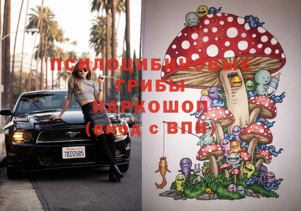 не бодяженный Горнозаводск