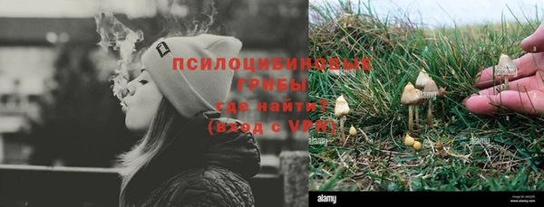 бошки Горняк